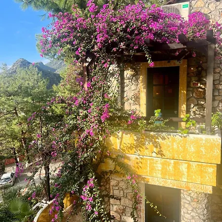 辛博拉奥露德尼兹海滩酒店 3*