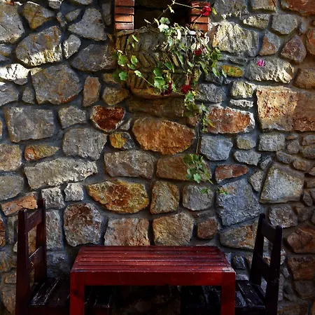 辛博拉奥露德尼兹海滩酒店 酒店