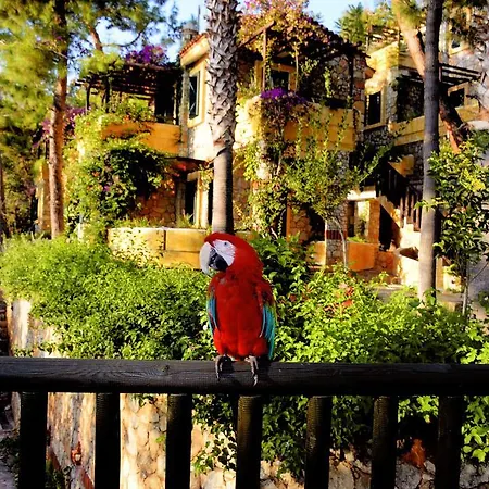 シンボラ ビーチ オルデニズ