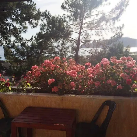 Symbola 3*