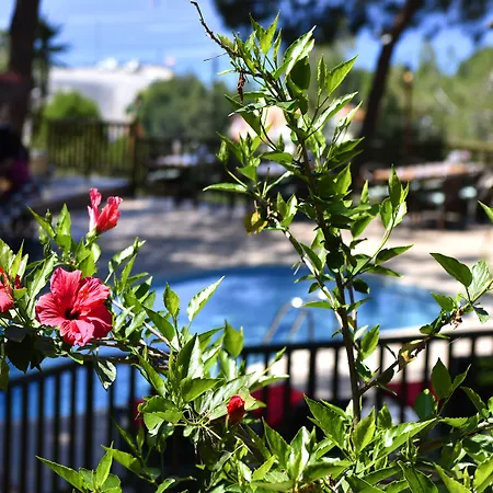 Hotel Symbola Ölüdeniz