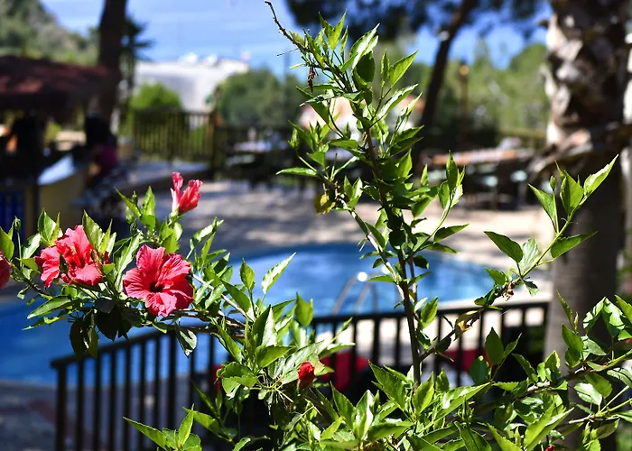 Hotel Symbola Oludeniz
