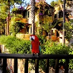 Symbola Oludeniz