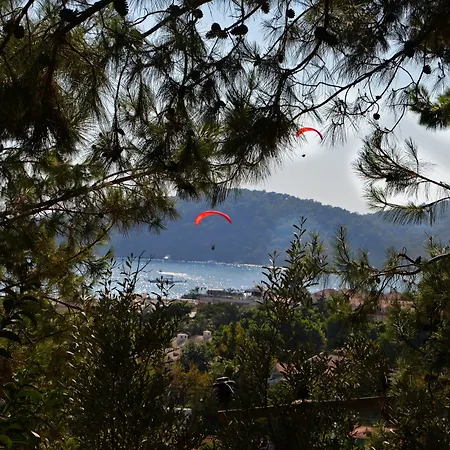 ホテル シンボラ ビーチ 3*