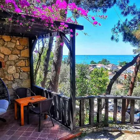 Hotell Symbola 3*