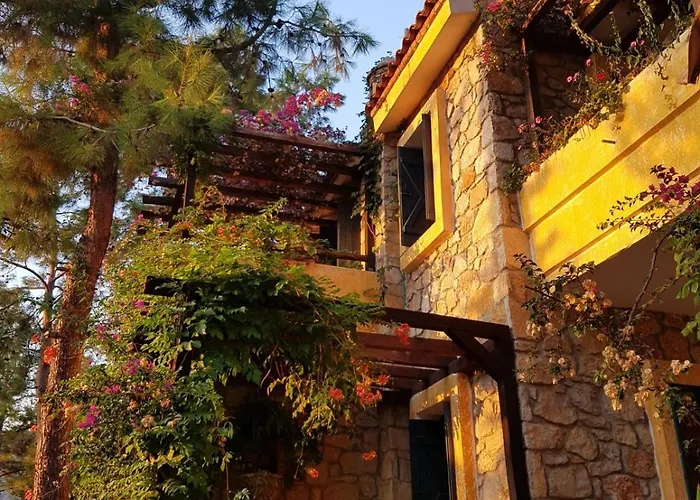 Symbola فندق