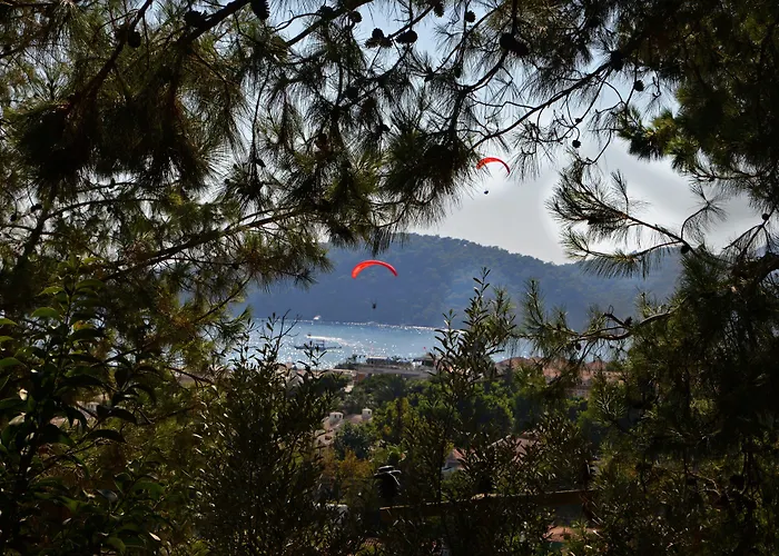 Отель Symbola 3*