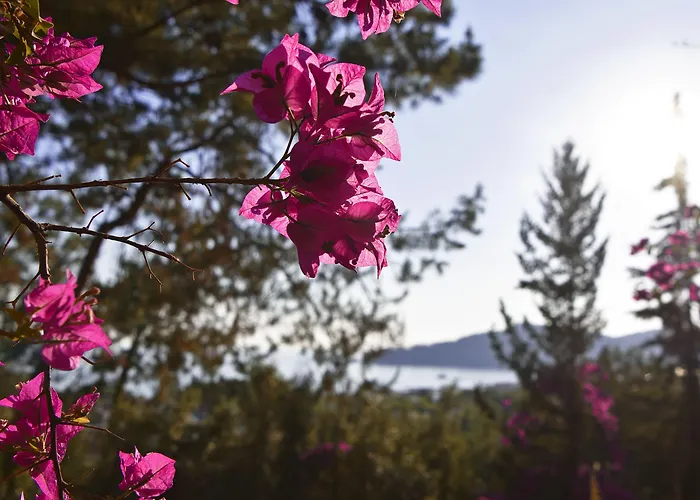 Ξενοδοχείο Symbola